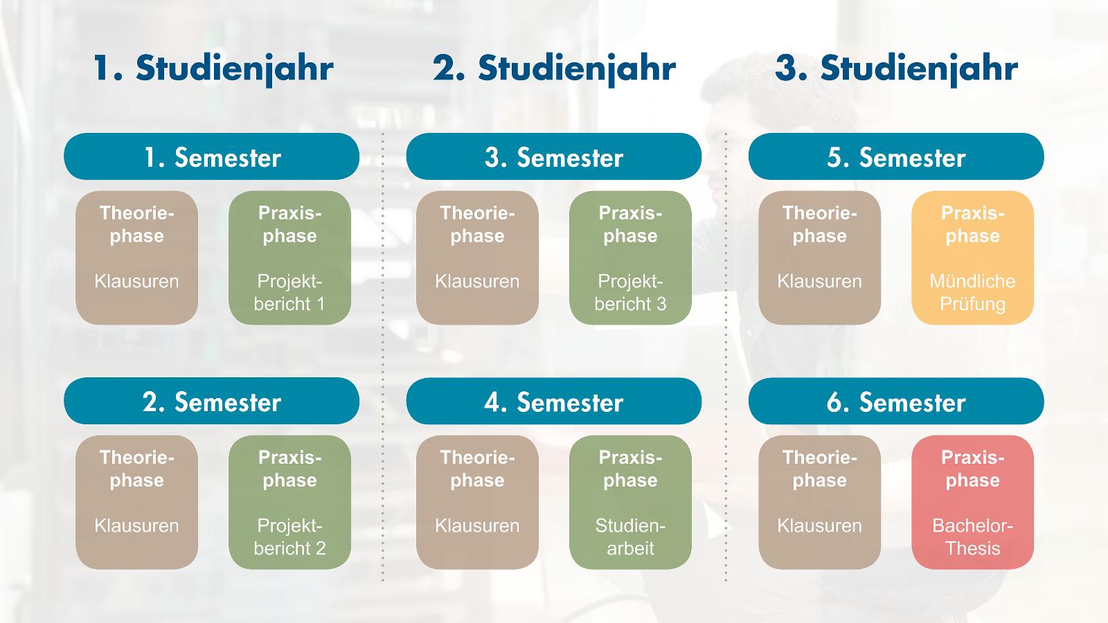 Vereinfachter Ablauf des dualen Studiums bei den Stadtwerken Rostock.