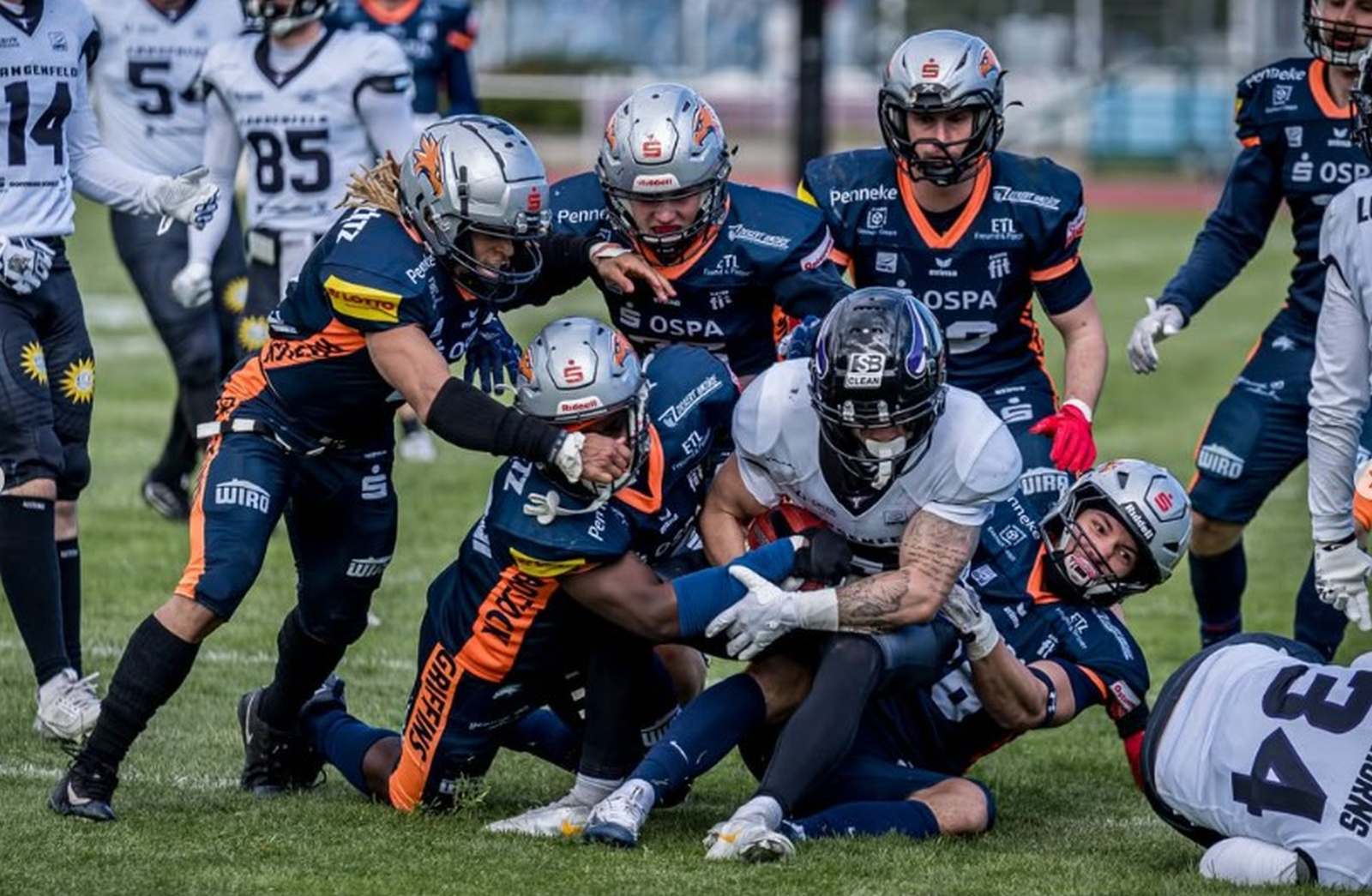 Rostock Griffins