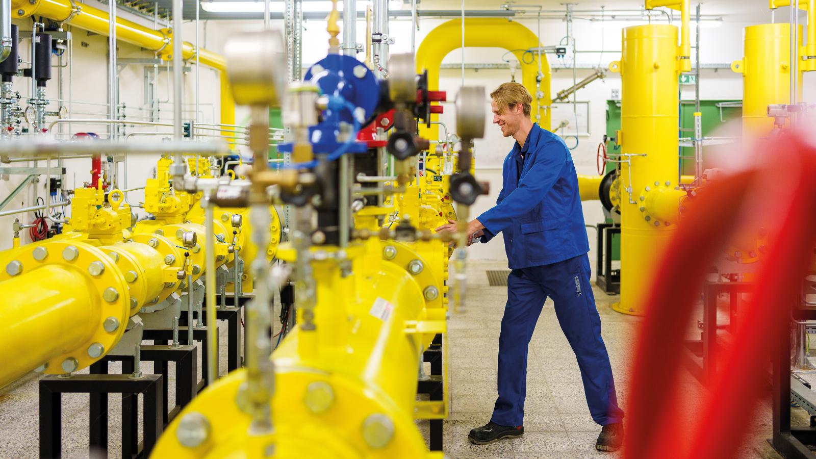 Energie- und Netzstrukturdaten